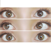 Sweety Iris Brown